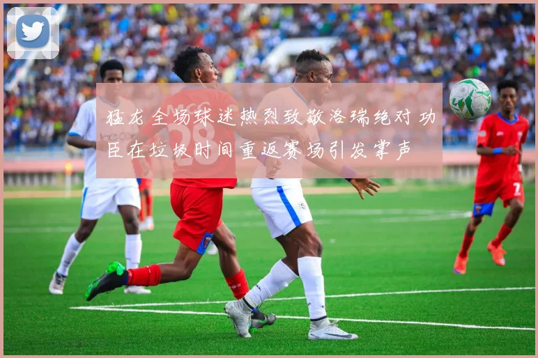 猛龙全场球迷热烈致敬洛瑞绝对功臣在垃圾时间重返赛场引发掌声
